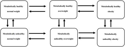 Transition patterns of metabolism-weight phenotypes over time: A longitudinal study using the multistate Markov model in China